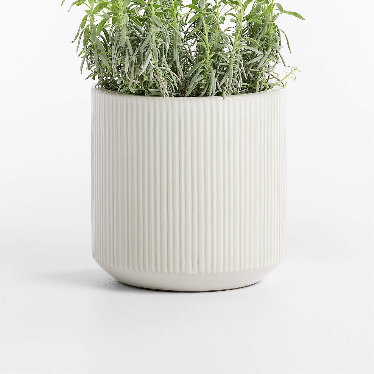 Tulu 9.05" x 9.05" Green Indoor/Outdoor Ceramic Planter | Crate & Barrel | Crate & Barrel