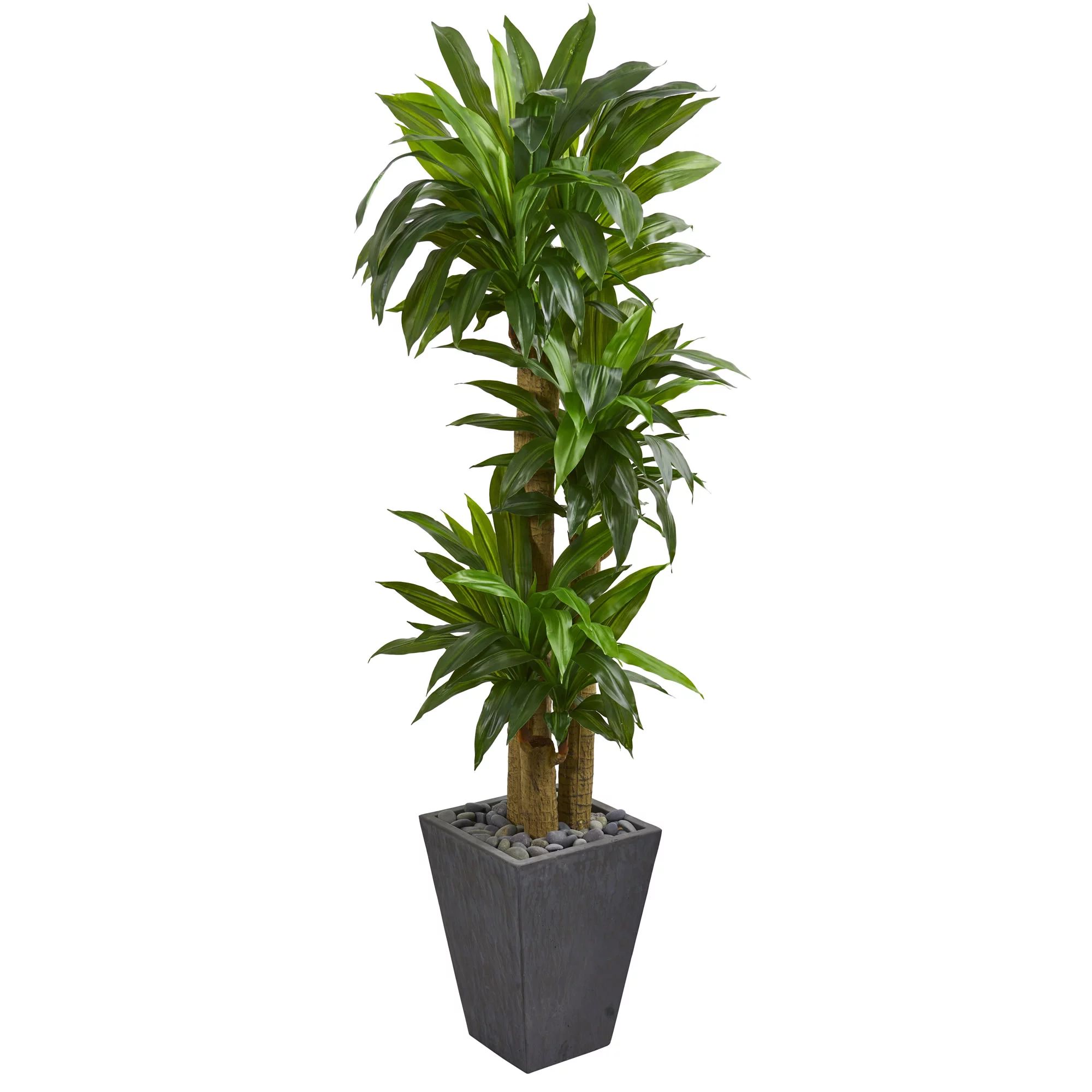 Nearly Natural 5.5 ft. Cornstalk Dracaena Artificial Plant in Slate Planter (Real Touch) | Walmart (US)