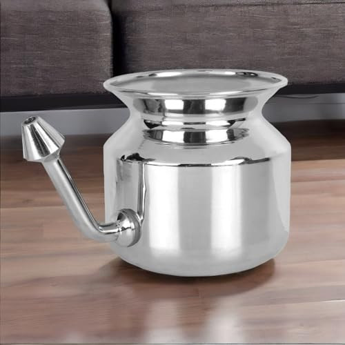 2activelife 304 Grade Stainless Steel Ayurvedic Jal Neti Pot for Sinus Congestion and Nasal Cleansing Non - Corrosive Unbreakable Hygienic Smooth Nose Tip Snugly Fits | Amazon (US)