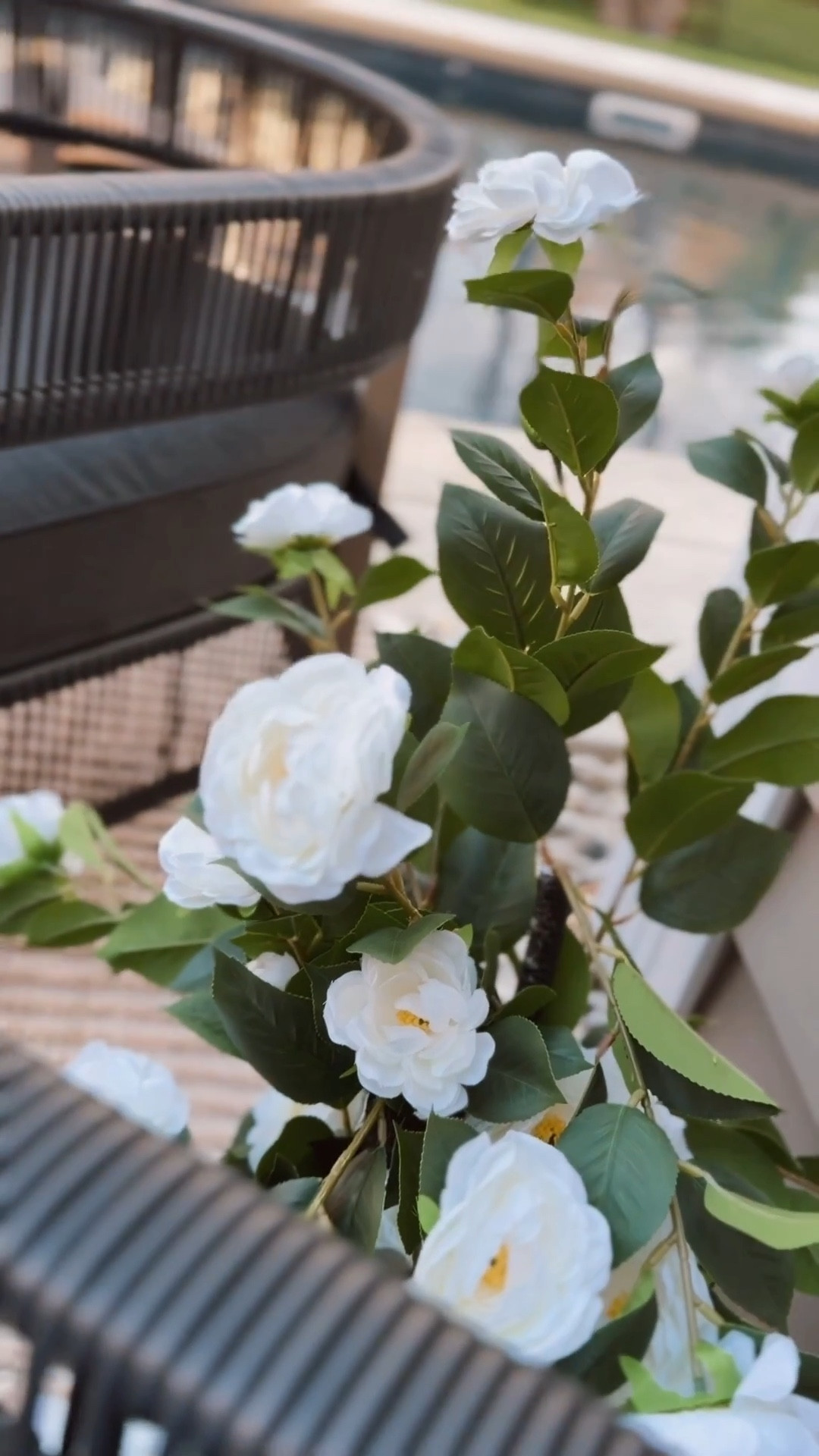 Get these plants!!!! Such a hit all the neighbors are asking too 👀

Patio. Outdoor patio. Florals  

#LTKHome