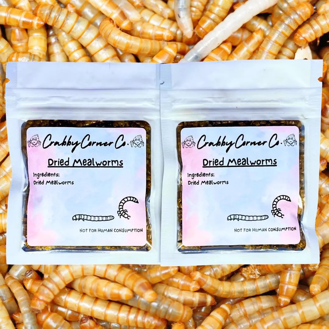 Dried Mealworms for Hermit Crabs and Reptiles, Hermit Crab Food, Dried Protein for Hermit Crabs, ... | Etsy (US)
