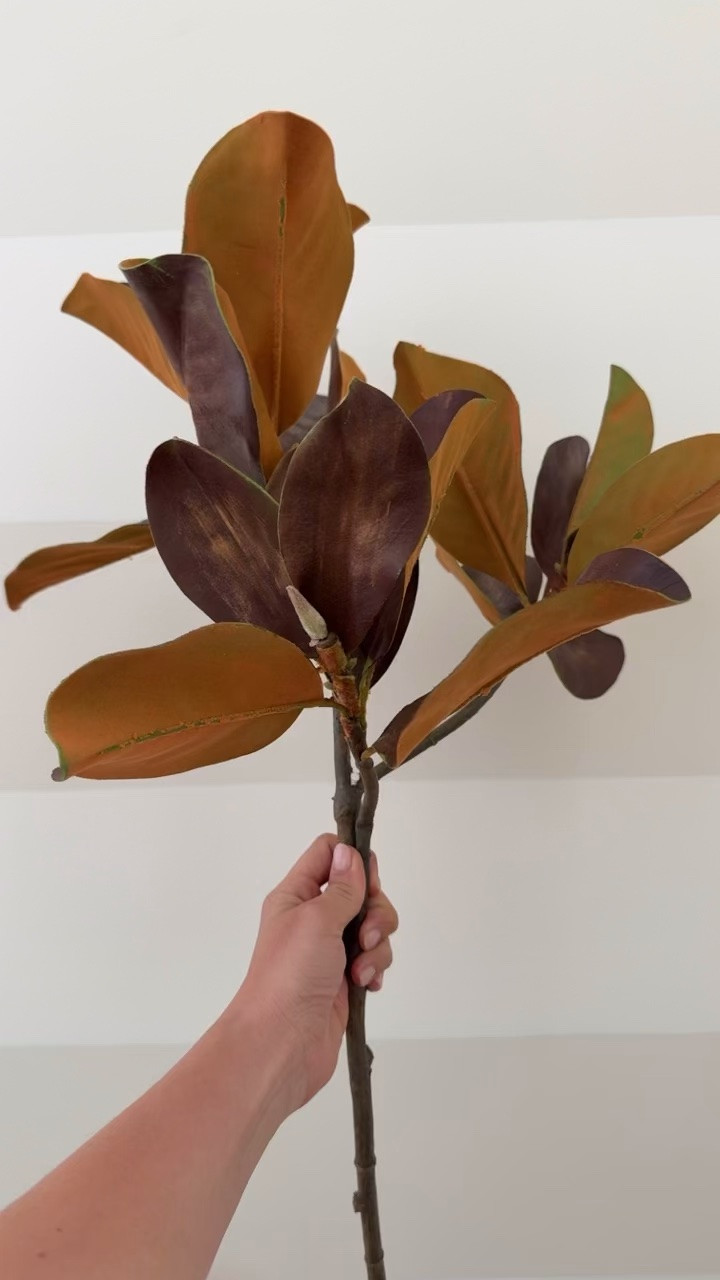Best fall branches!

#LTKSeasonal #LTKHome