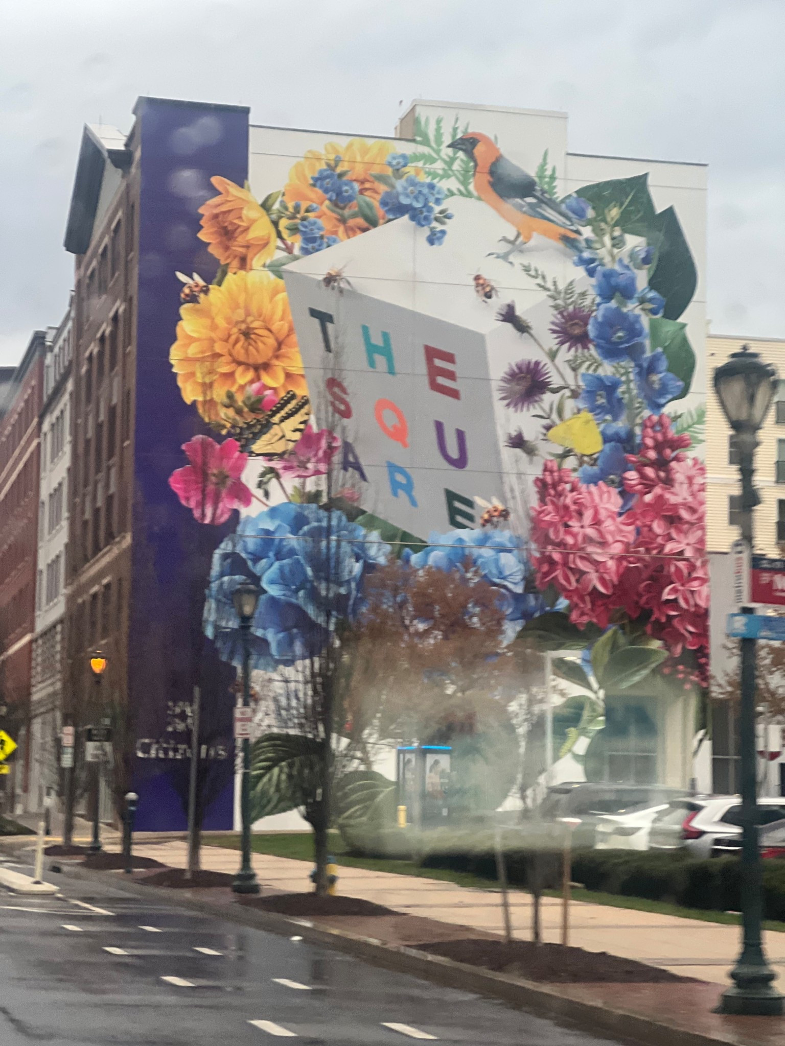 Don’t get too busy that you miss the beauty around you! 