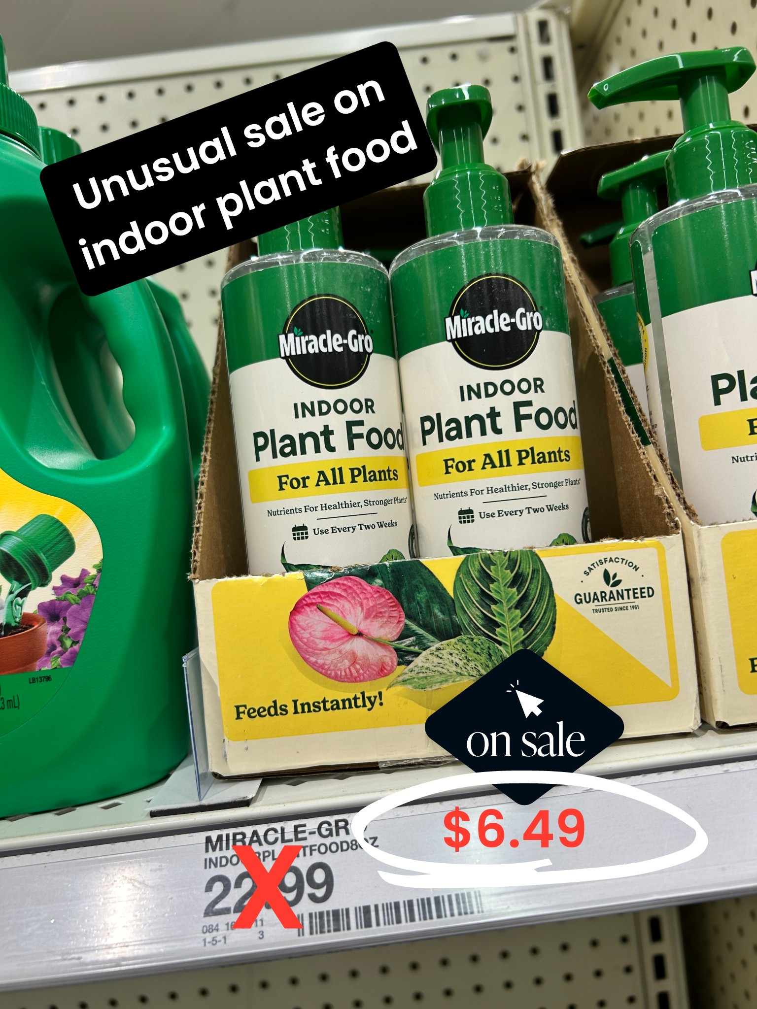 A whopping 72% off on this Miracle Gro indoor plant food item at Target. At the register, these will ring up as $22.99, but ask for the online price match OR order them online. $6.49 each!!!

#LTKSaleAlert #LTKSeasonal #LTKHome