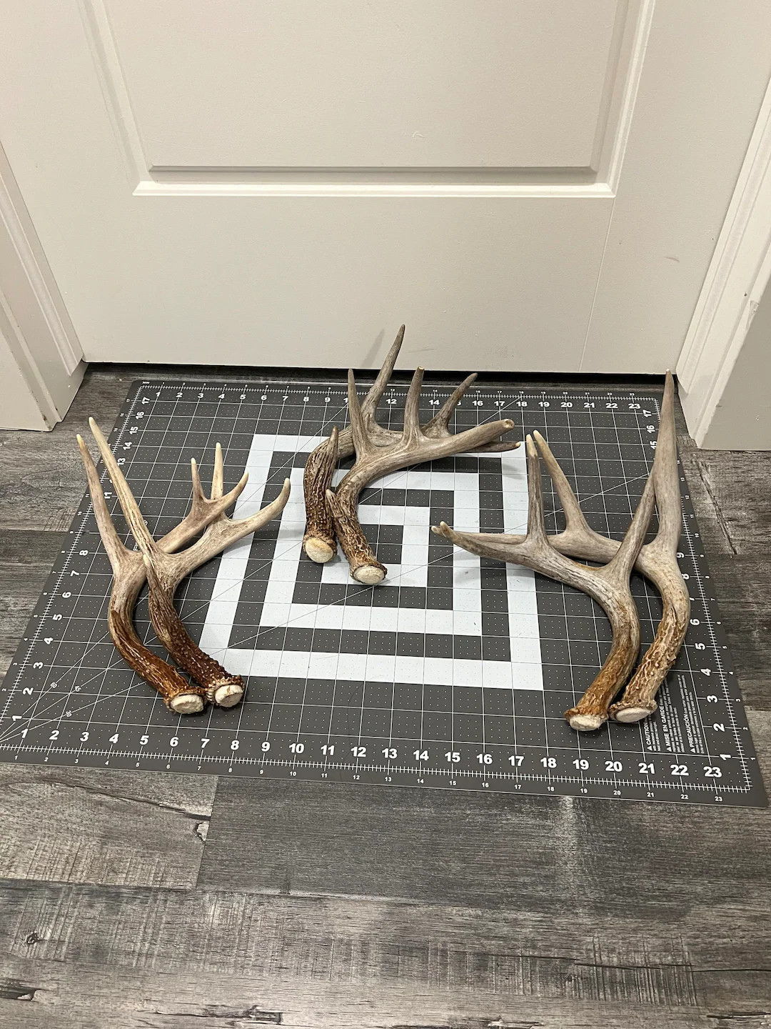 Deer Antler Sheds 2 Pack. Whitetail Deer Antlers Decor 2 Pack 2 Antlers - Etsy | Etsy (US)