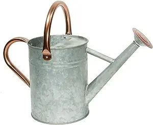 yourjoy Steel Watering Can Sliver Galvanized Steel Watering Can with Copper Accents,Removable Ros... | Amazon (US)