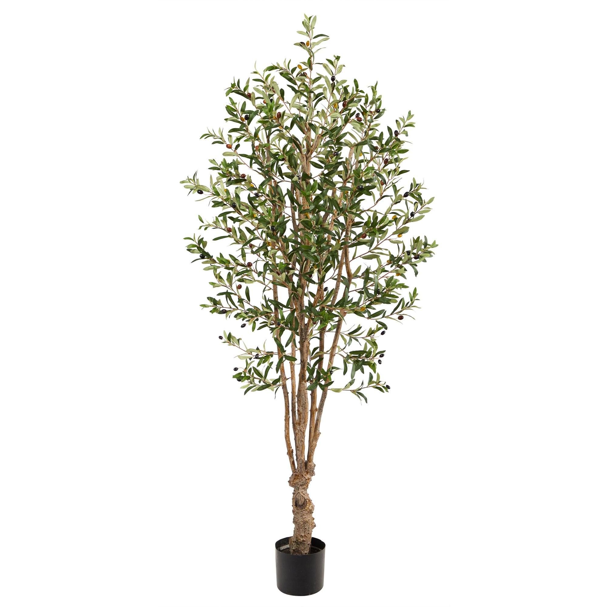 5’ Olive Artificial Tree with 1656 Leaves | Nearly Natural | Nearly Natural