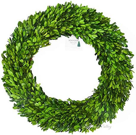 BoxwoodValley Boxwood Wreath 20 inch Real Preserved Boxwood Wreath Well Handcrafted Green Garland... | Amazon (US)