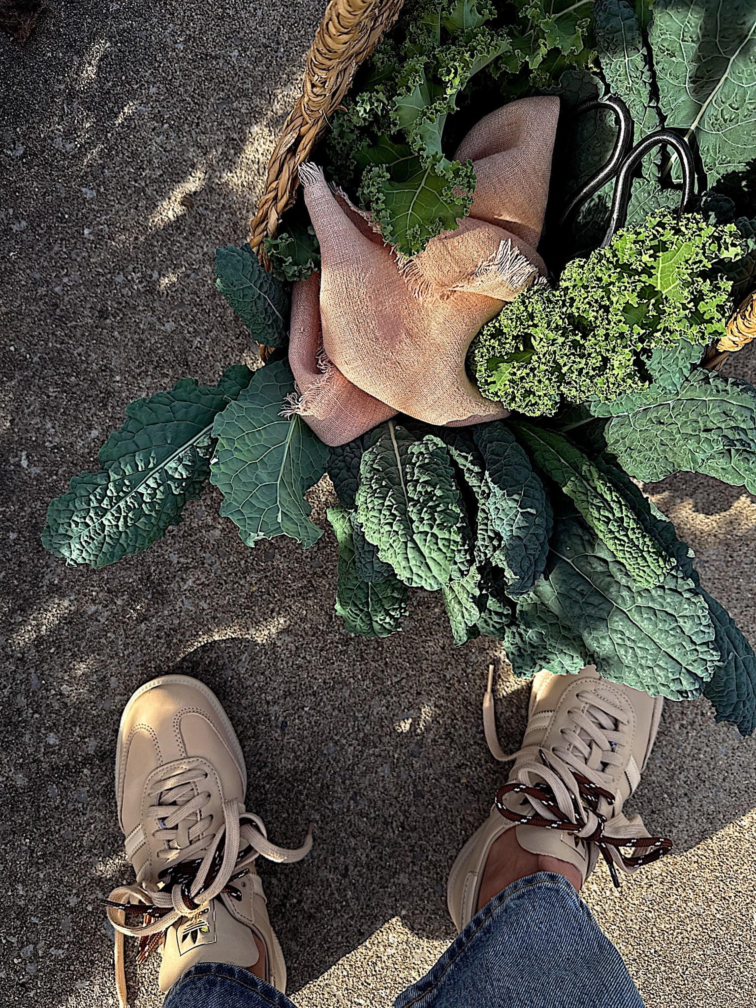 My favorite garden basket, as of late. 🤍

#LTKSeasonal #LTKHome #LTKfoodie