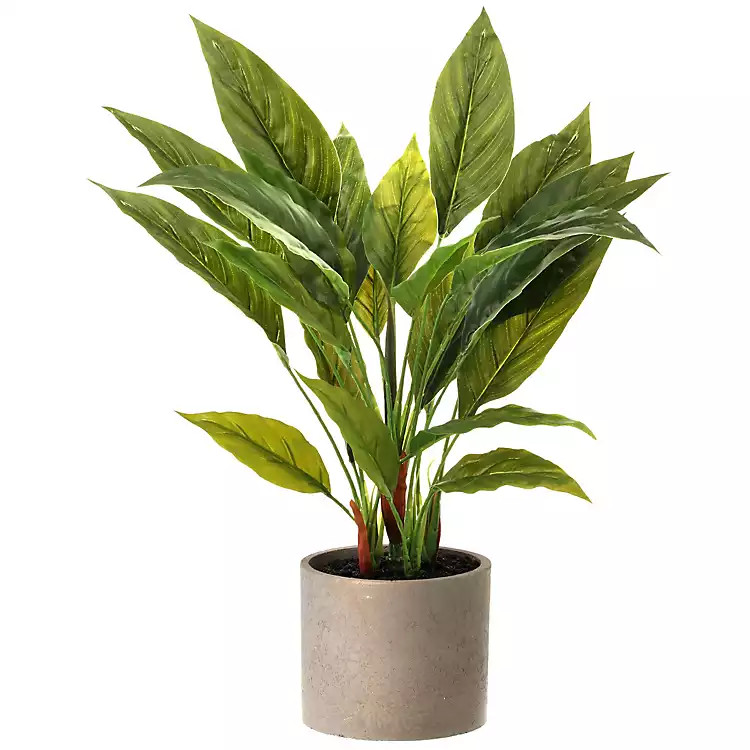 Kirkland's | Kirkland's Home