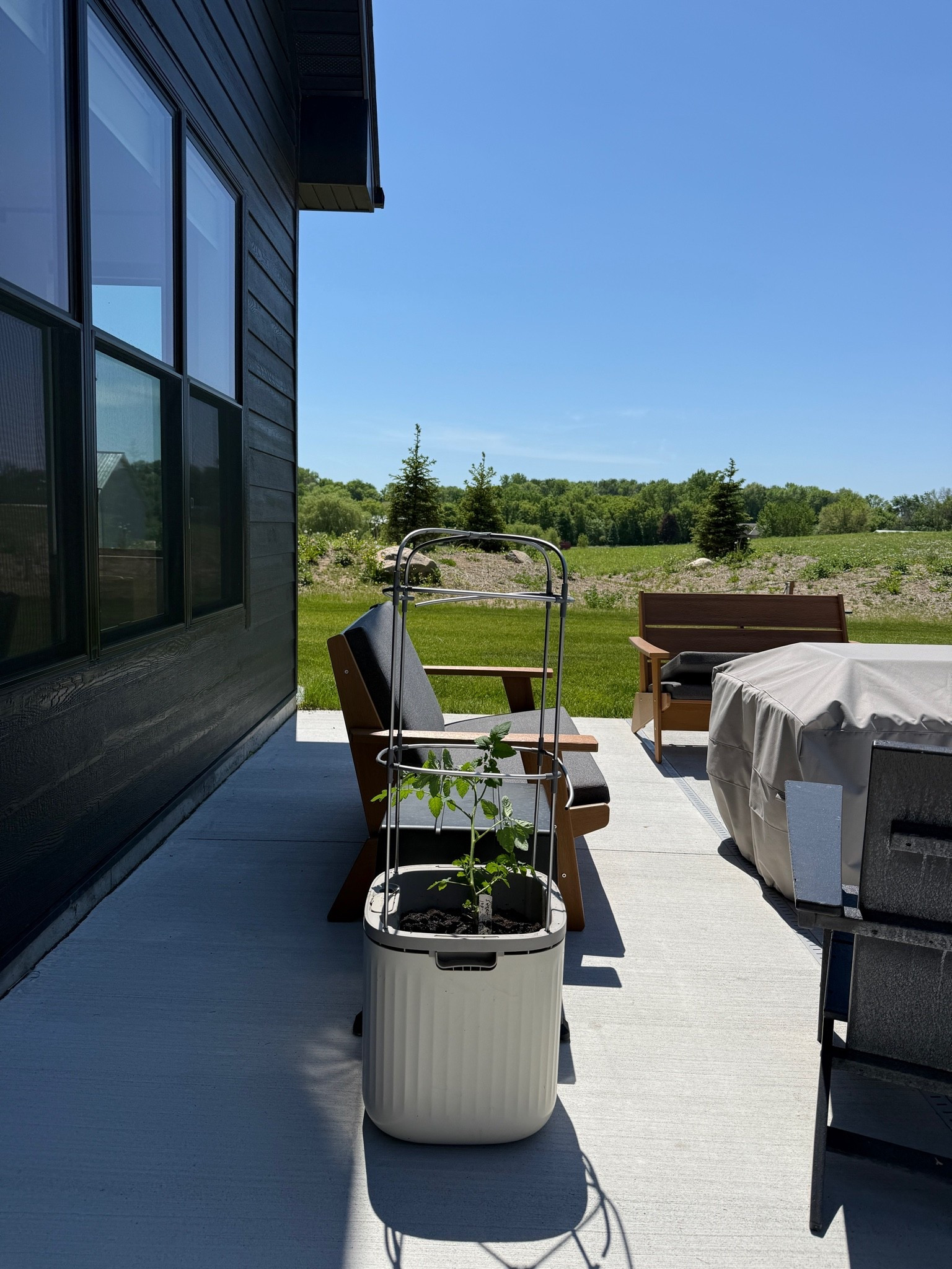Cherry tomatoes are living on the patio this summer! Love these vego garden pots