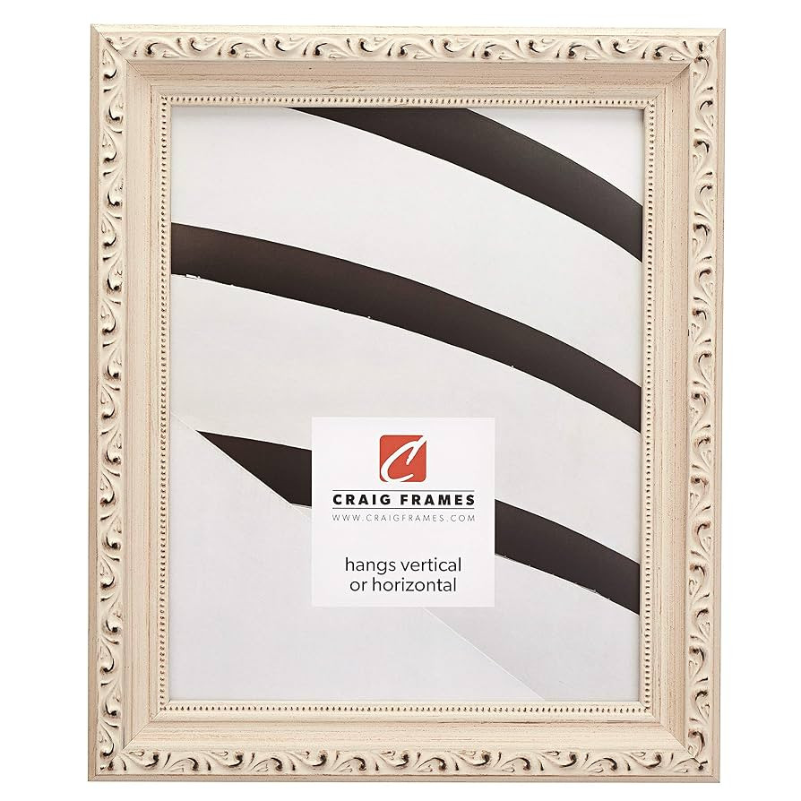 Craig Frames Ancien Ornate Picture Frame, 18 x 24 Inch, Off-White | Amazon (US)