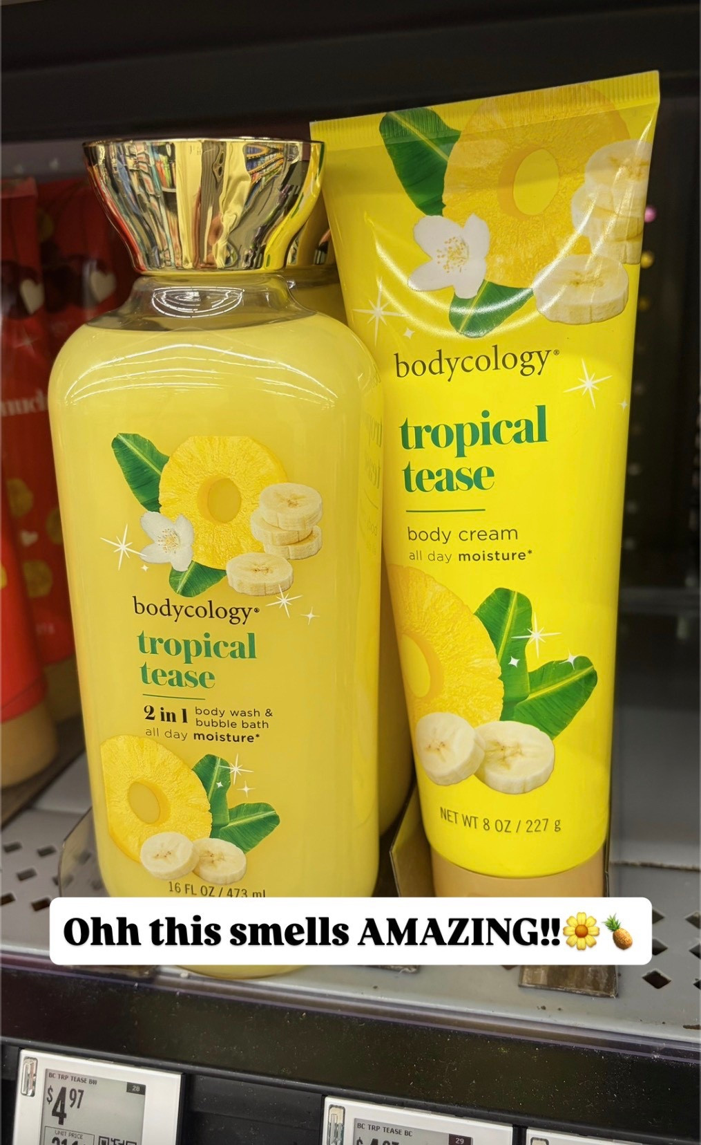 If you imagine a summer scent.. this is IT!! It smells soooo good!! #summerscent #bodcology #walmartfinds 

#LTKBeauty #LTKmorningroutine #LTKvlog