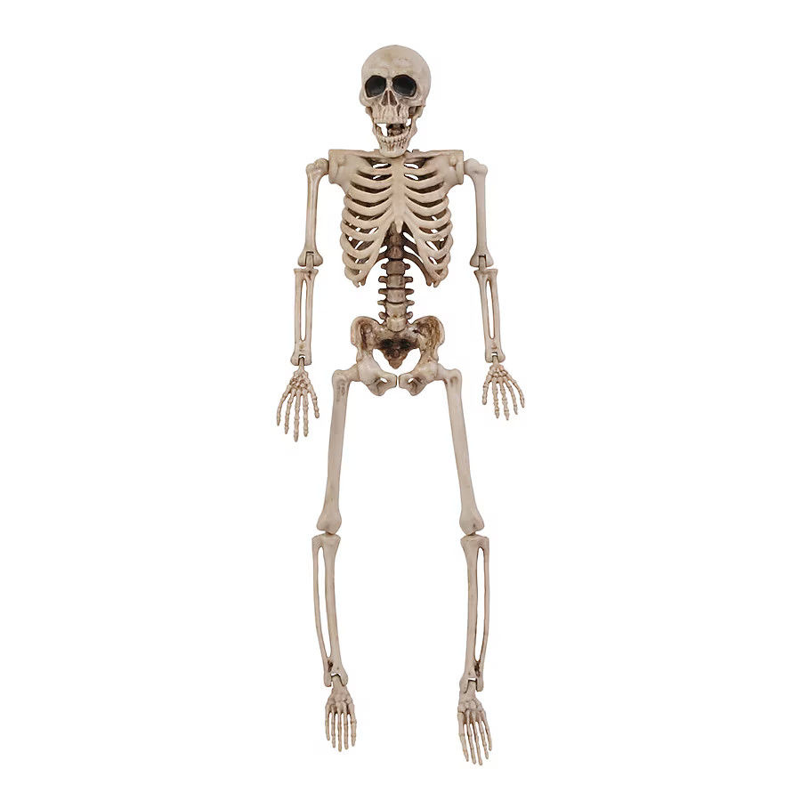 Haunted Living 1-ft Skeleton Figurine Lowes.com | Lowe's