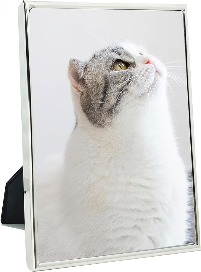 DECANIT 4x6 Picture Frame Metal, Thin Profile Photo Frame 4 by 6 Inch, Display for Wall or Tablet... | Amazon (US)