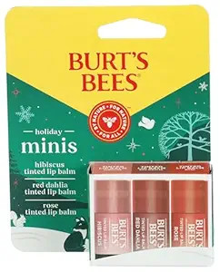 BURTS BEES Holiday Minis Lip Balm 3 Count, 1 EA | Amazon (US)