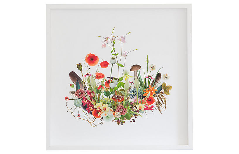 Dawn Wolfe, 3D Plant Montage: Poppies | One Kings Lane