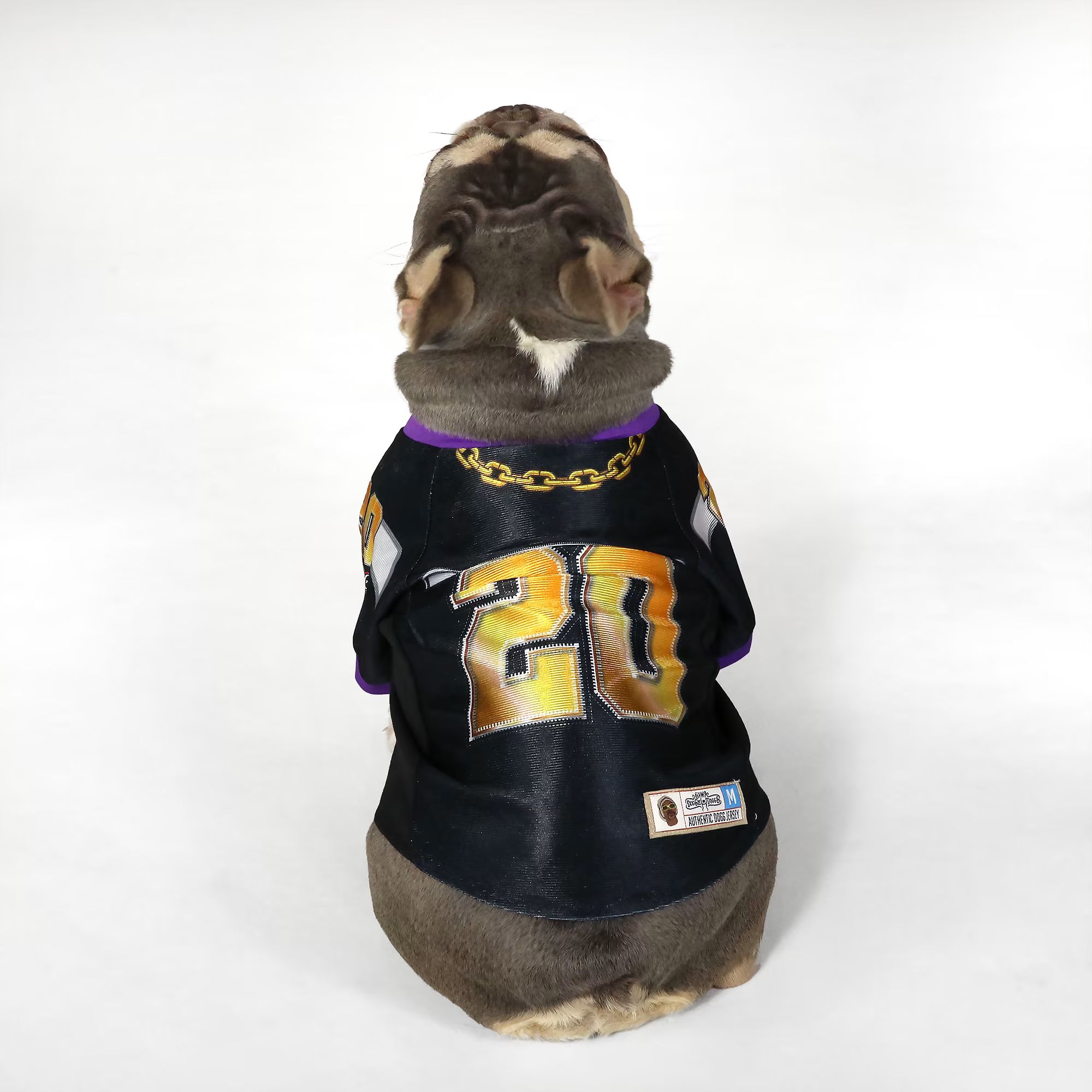 Snoop Doggie Doggs Black Off the Chain Deluxe Pet Jersey, X-Small | Petco