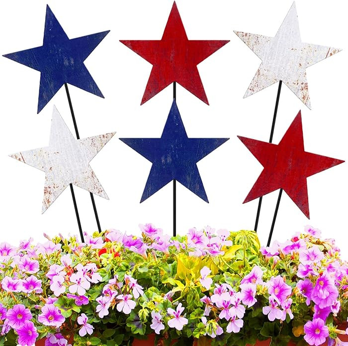 6 Pcs 12" H Vintage Red Blue White Outdoor Decor Metal Yard Sign Patriotic Rustic Garden Stake St... | Amazon (US)