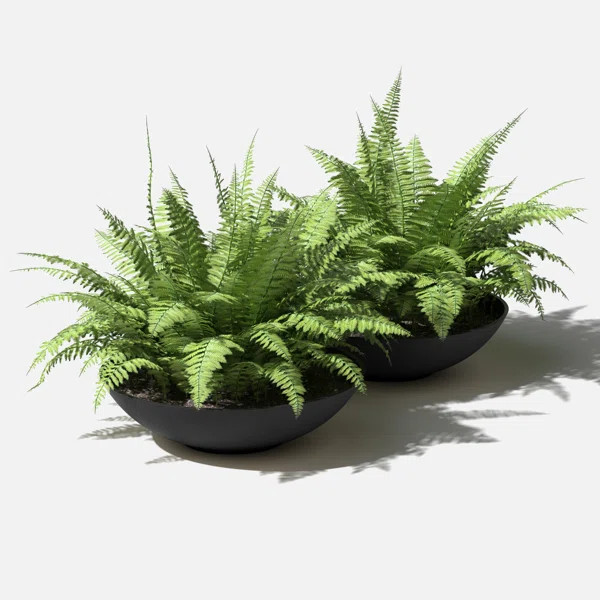 Pure Series Lane Bowl Planter | Wayfair North America