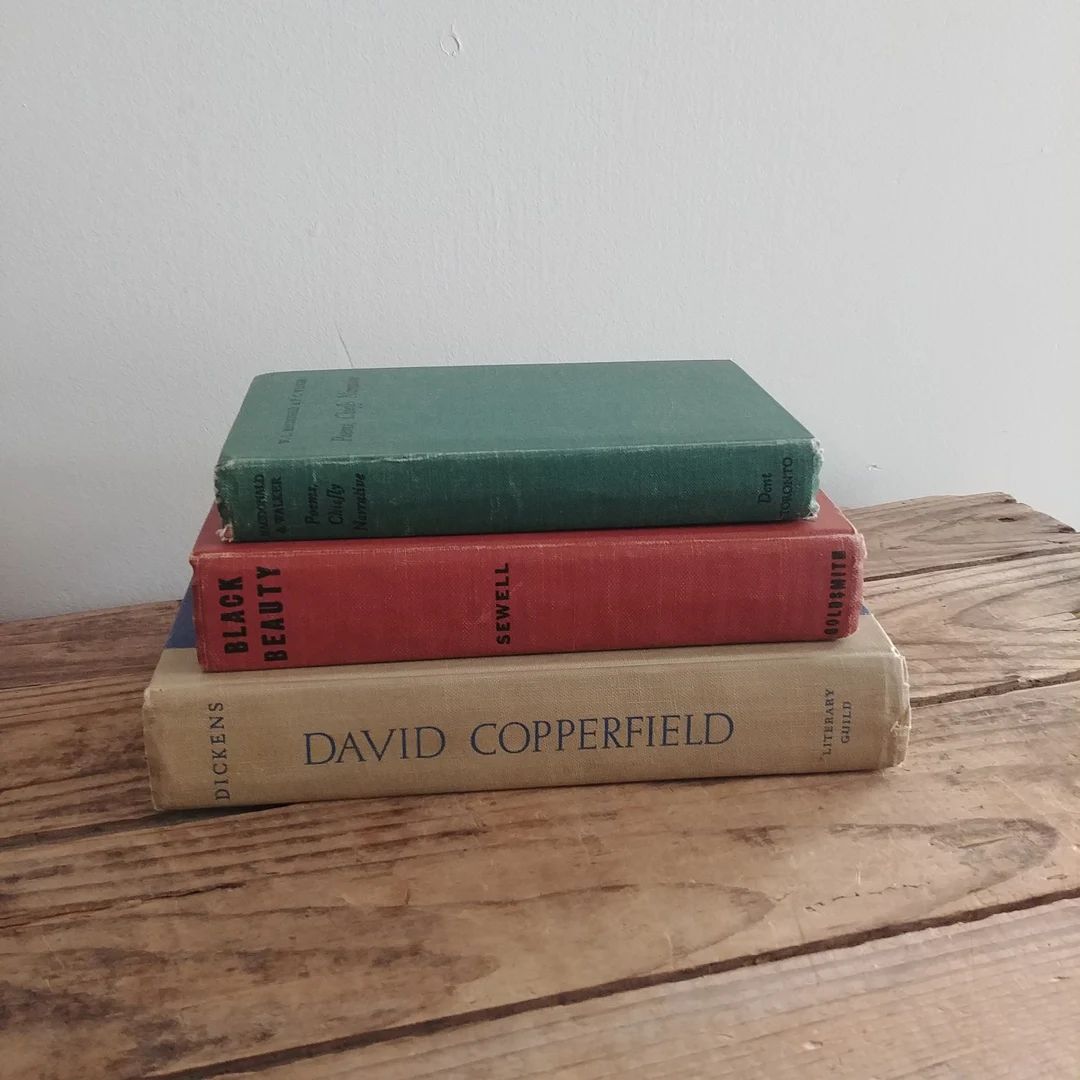 Set of Three Vintage Books for Decor, Old Book Stack - Etsy | Etsy (US)