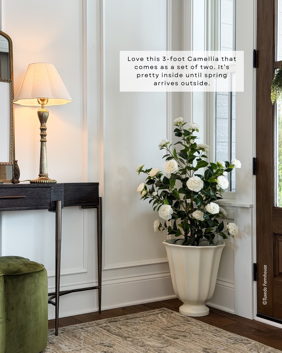 I got my Camellia plants last spring and was so impressed with this one. Full, realistic and a great price at two for $65. It is so pretty in this new Walmart planter (only $24!).

#LTKHome #LTKSeasonal