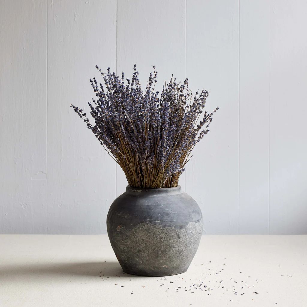 Dried Lavender | Bloomist