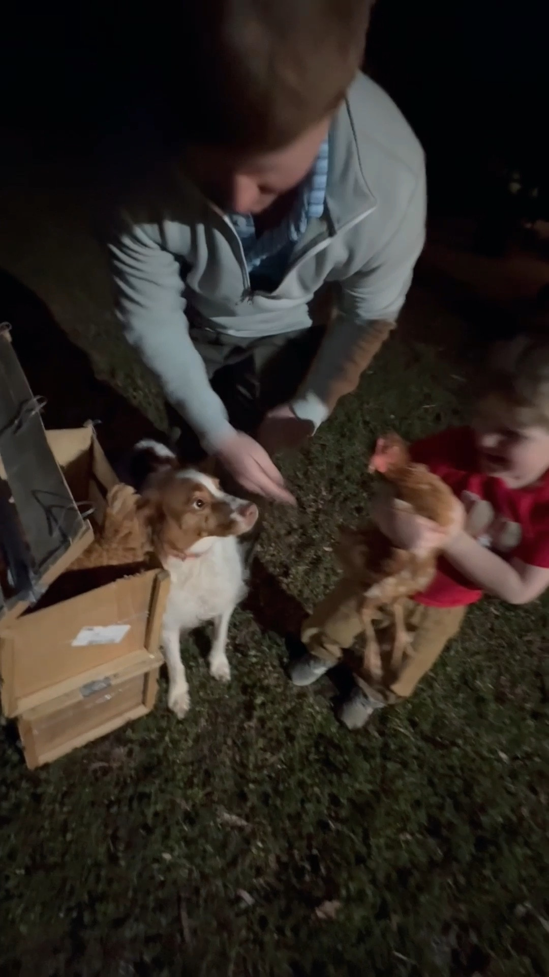 “Dada” came home with surprises 🤭 in his truck 🛻 bed tonight!! 📦 We welcomed even more chickies to the farm this evening!! 🐓🐓🐓🐓 We also plan to get some more baby chicks 🐥🐥🐥🐥 this spring!! 🥰 Judson was over the moon and it was the cutest thing ever seeing his pure JOY!!! 🥹