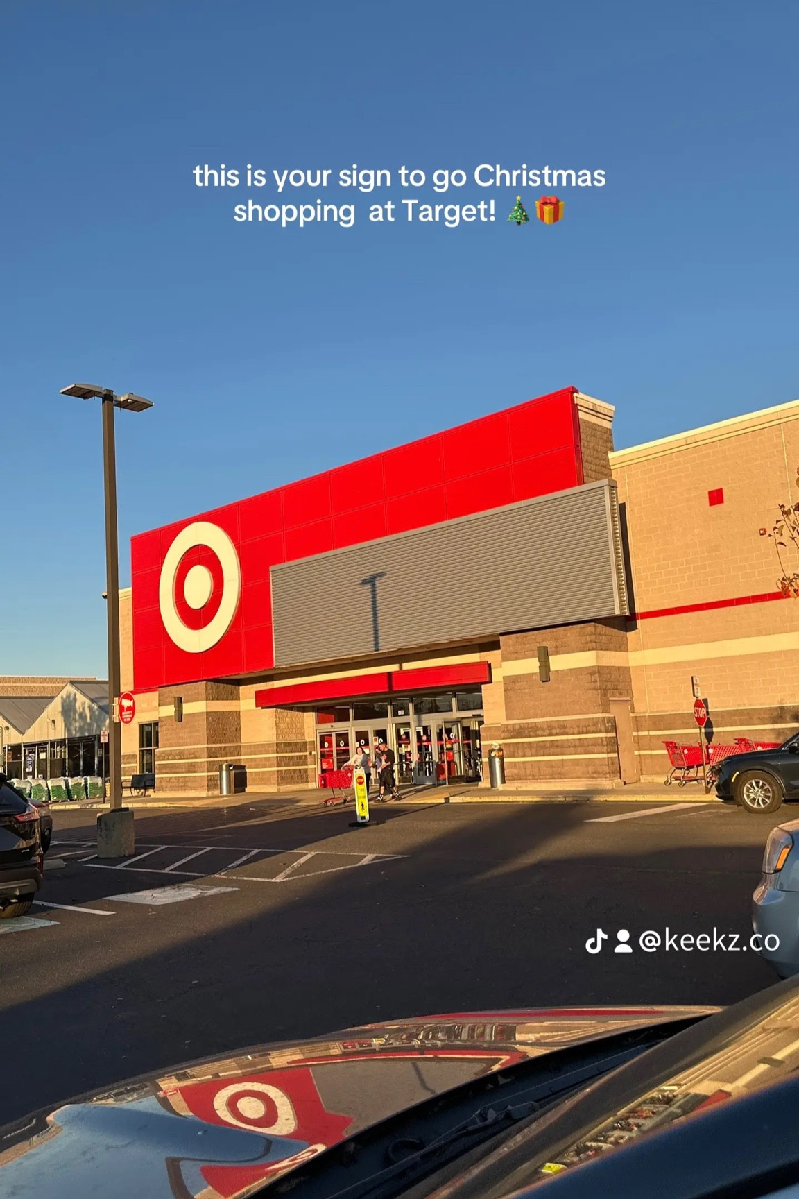 Target Christmas Finds! 🎄

#LTKFindsUnder50 #LTKGiftGuide #LTKHoliday