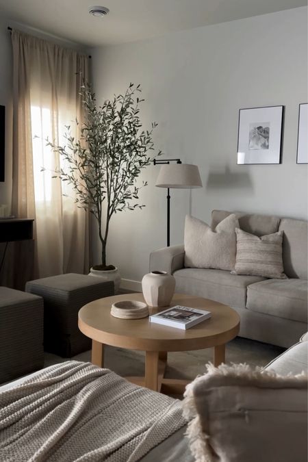 Neutral living room links 🤍

Wood coffee table, round coffee table, olive tree, amazon home decor, target home decor, coffee table decor, living room sectional

#LTKfindsunder100 #LTKfindsunder50 #LTKhome