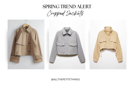 2024 Spring Trend Alert: Cropped Jackets 🤍

#LTKstyletip #LTKSeasonal #LTKfindsunder100