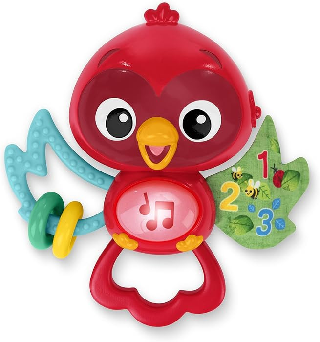 Baby Einstein Roxys Bright Flight Musical Baby Toy & Teether, Plays Real Bird Sounds with 10+ Mel... | Amazon (US)