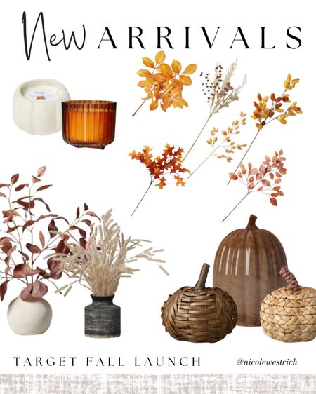 It’s finally fall! New fall decor has landed at Target! Time to refresh for fall and enjoy all things pumpkin  

#LTKunder50 #LTKhome #LTKSeasonal