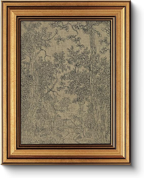 HUARCEY Gold Framed Canvas Wall Art, Antique Sketch Landscape Pictures Vintage Decor, Bedroom Kit... | Amazon (US)
