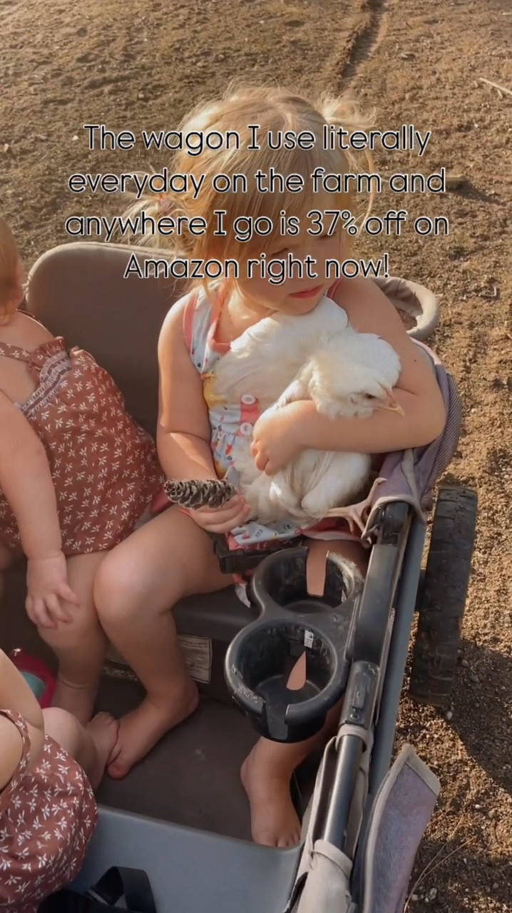 My favorite wagon that I use everyday is on sale! I did so much research and compared so many wagons before settling on this one. So happy with my choice. 

#LTKSaleAlert #LTKKids