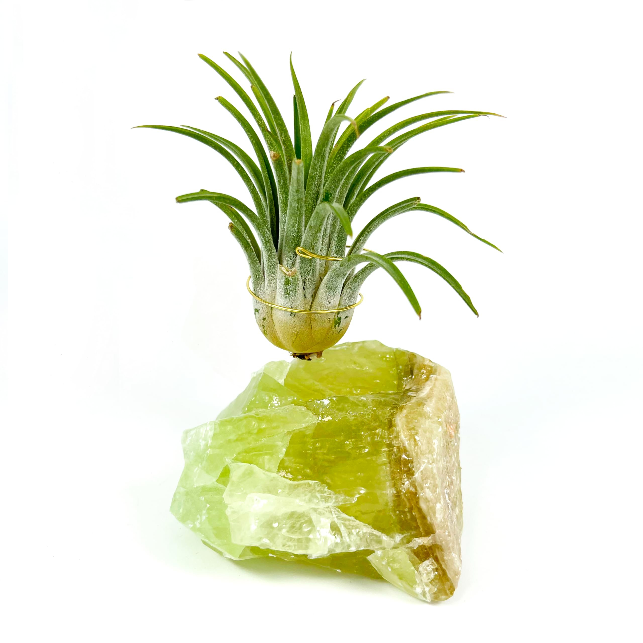Small Green Calcite Geode Crystal Air Plant Holder Includes Healthy Live Air Plant Gift Box - Zen... | Amazon (US)