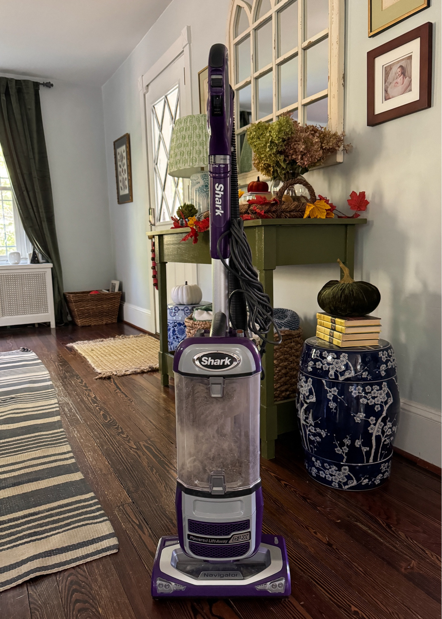 Our vacuum is on sale (like, $100 off on sale!)! Circle Week 🎯 I vacuum multiple times a day, have 2 kids & an American Eskimo dog… so, it works 😂

#LTKHome #LTKSaleAlert