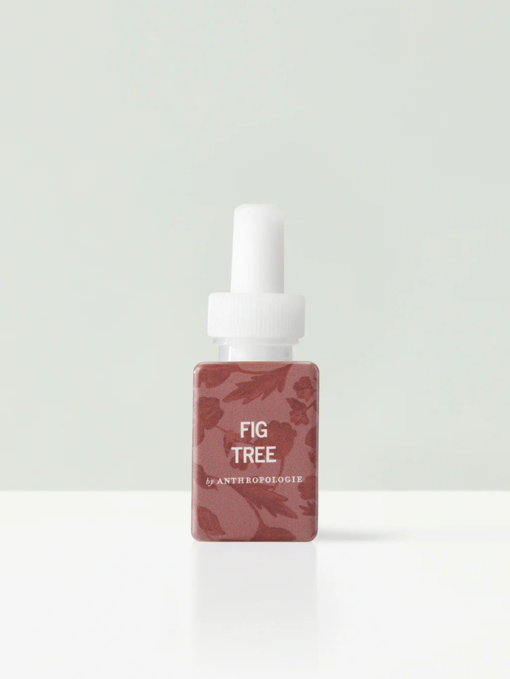 Fig Tree | Pura