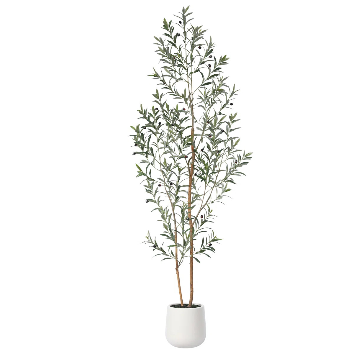 Primrue | Wayfair North America