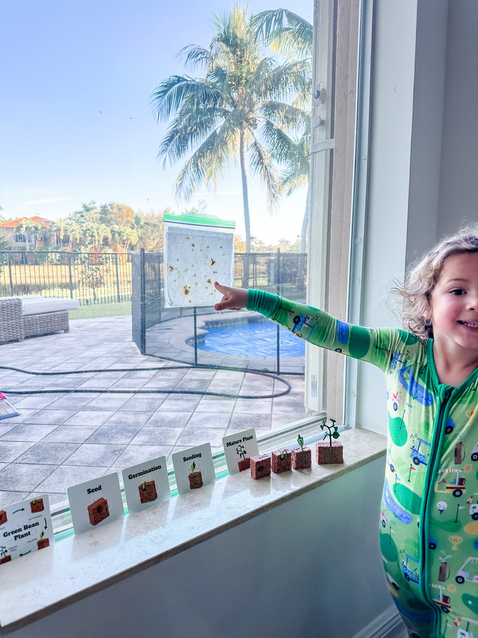 Educational toys • STEAM toys • toddler gifts • STEM toys • plant life cycles • science toys • homeschool activities • 

#LTKFamily #LTKBaby #LTKKids