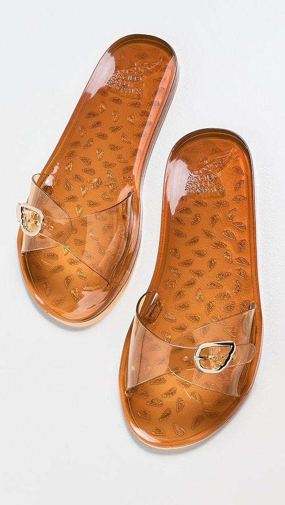 Filia Jelly Slides | Shopbop