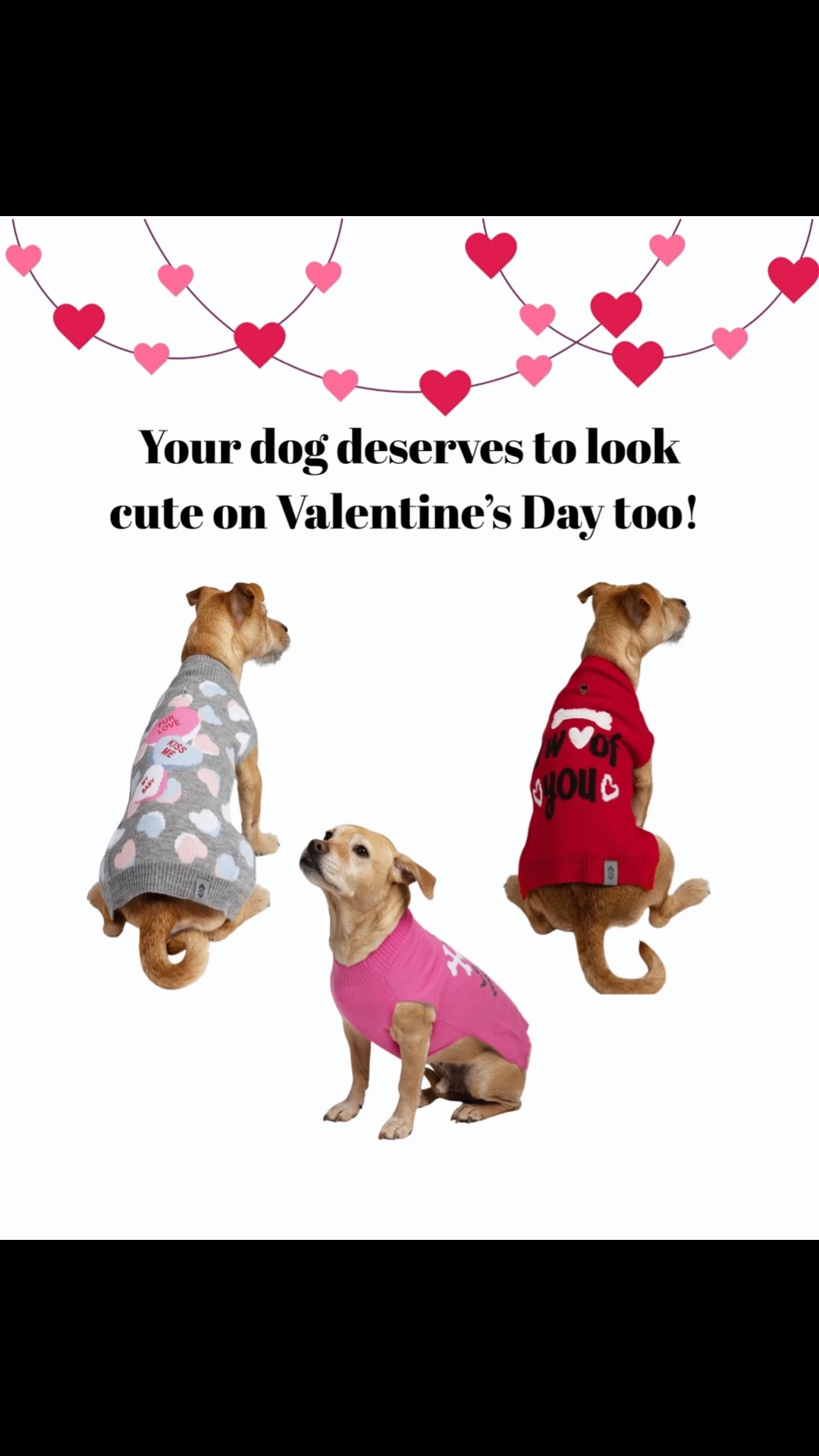 How cute are these doggie sweaters from Sam’s Club? Your pup deserves to look cute too! ❤️ #valentinesday #dogmom #dogclothes #seasonalstyle #valentinesweater

#LTKmomlife #LTKKids #LTKSeasonal