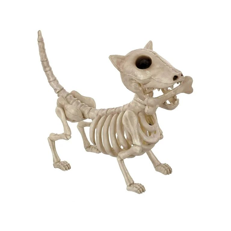 Way to Celebrate Skeleton Dog Digger Bonez, Crazy Bonez Official Halloween Faux skeleton Terrier ... | Walmart (US)