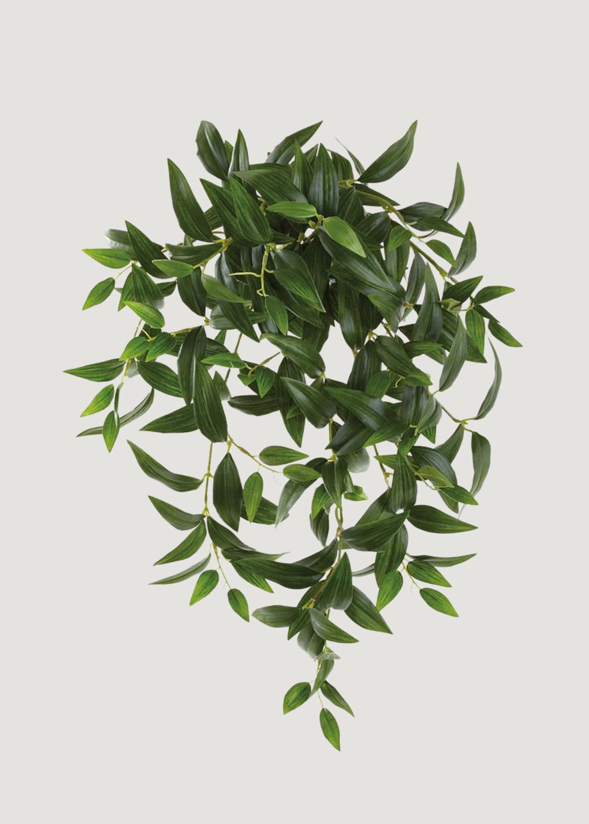 Artificial Hanging Ruscus Leaf Bush - 22" | Afloral