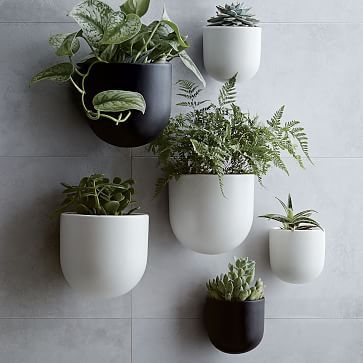 Ceramic Indoor/Outdoor Wallscape Planters | West Elm (US)