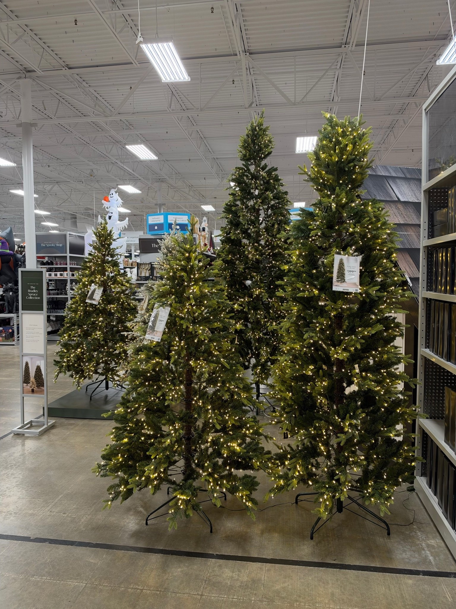 Absolutely love the Bradley Spruce collection from At Home! The trees look so real!!