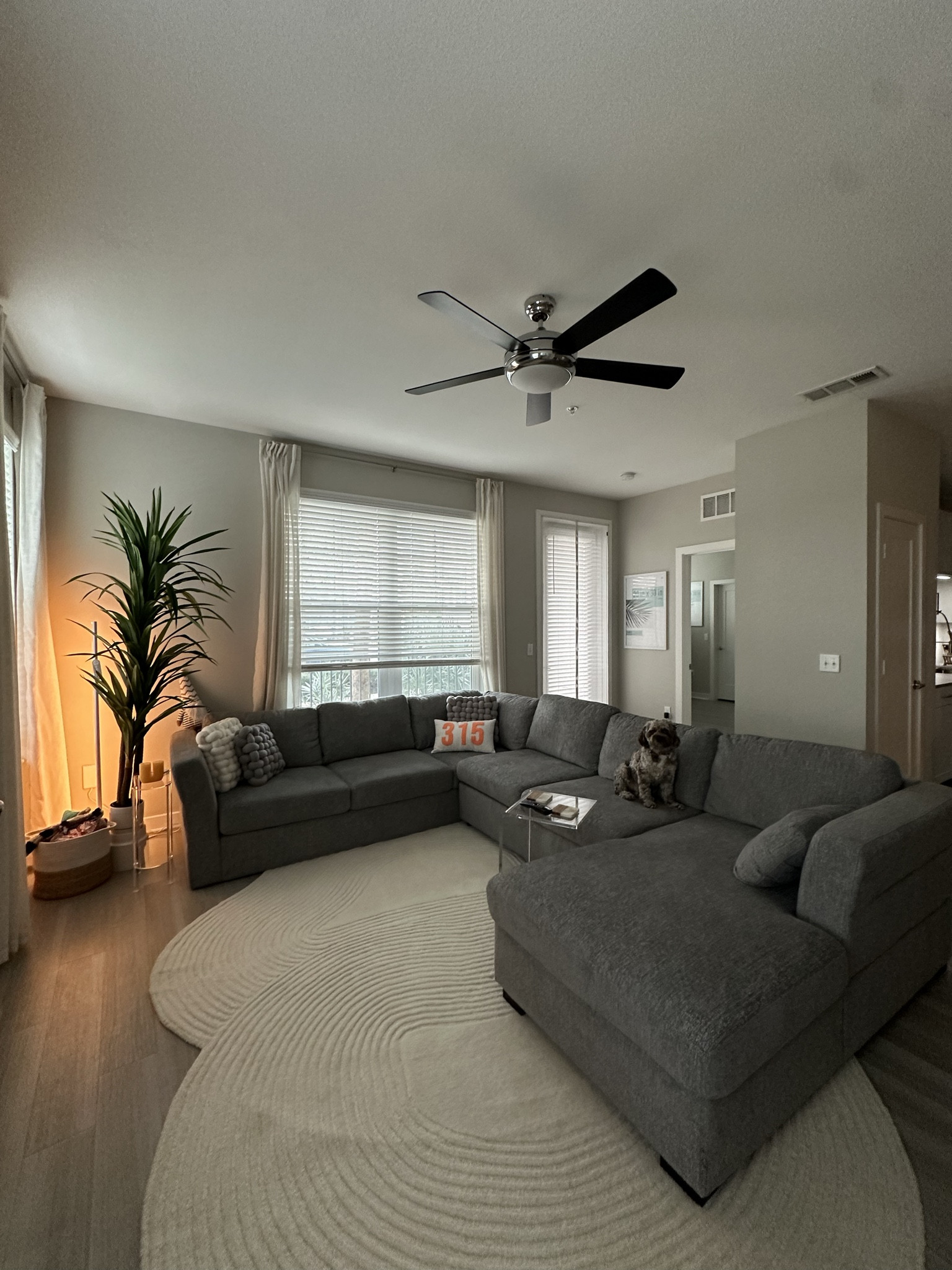 living room details

#LTKfamily #LTKhome #LTKstyletip