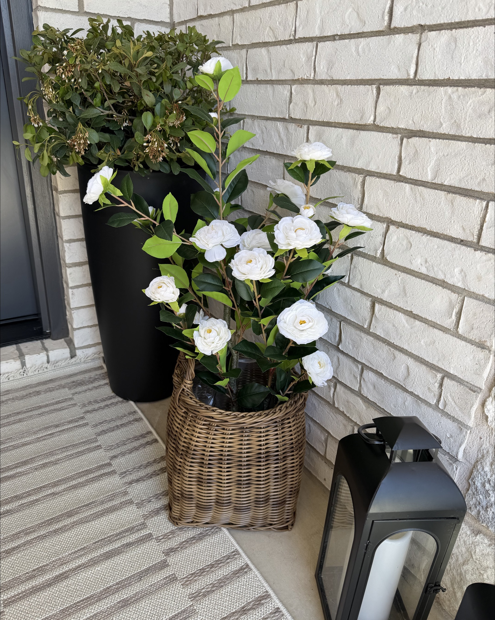 Obsessed with this new faux camelia potted plant for my front porch ☀️🌿

These faux beauties will look beautiful all year long - no more dead plants 🙅🏼‍♀️

Faux plant, faux florals, spring front porch, front porch decor, planter, planter basket, from porch refresh LTKSpringSale

#LTKSeasonal #LTKHome #LTKSaleAlert
