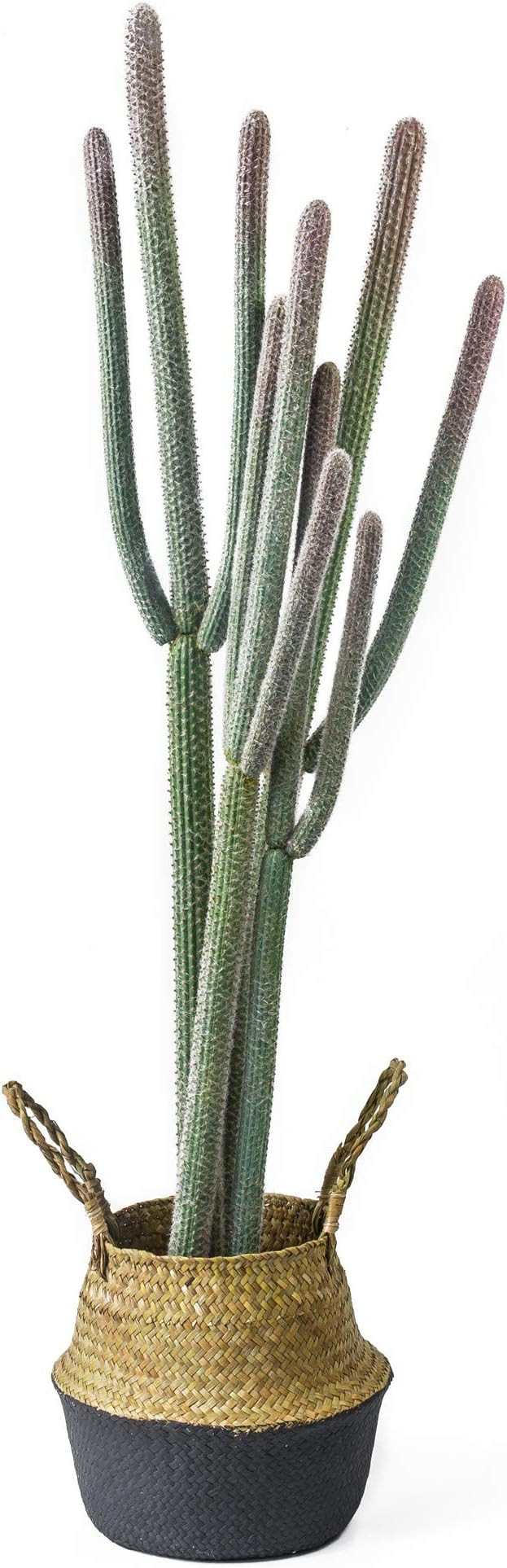 NCYP Fake Plants - Indoor Artificial Cactus in Plastic Planter with Seagrass Basket - 48 Inches T... | Amazon (US)