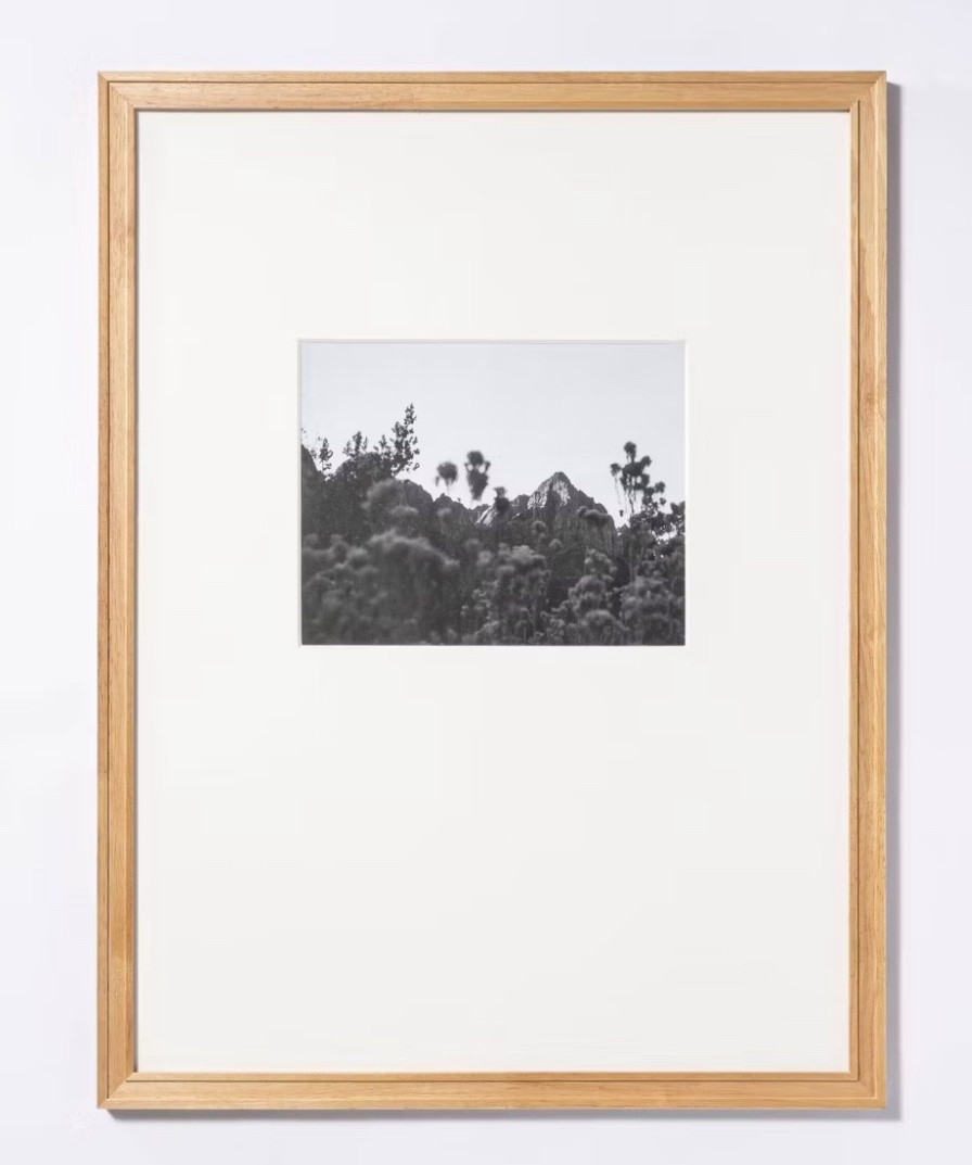 Target frames I’m using for my staircase refresh! 